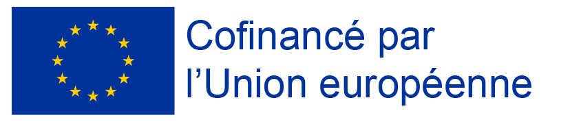 logo fse