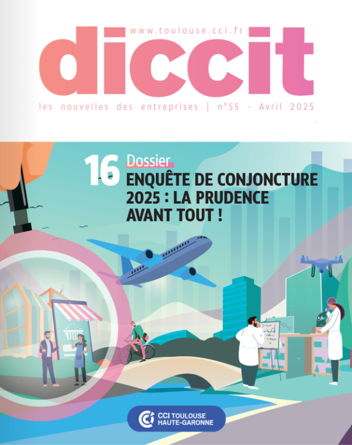 DICCIT 55
