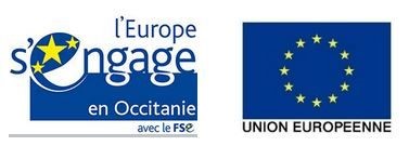 Logo FSE